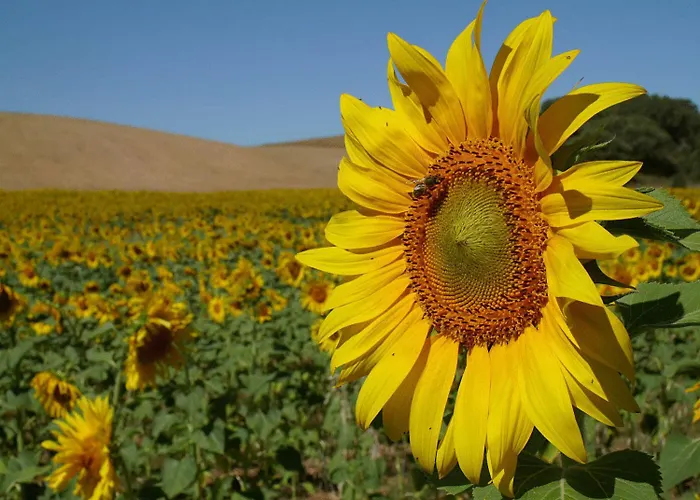 Naveterra-Hotel Rural