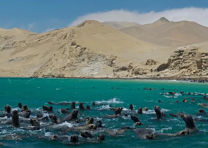 La Hacienda Bahia Paracas