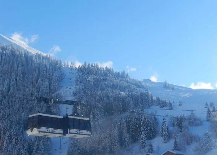 Chalet-Hôtel du Borderan