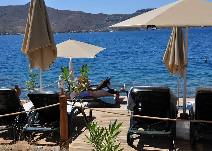 Badem Tatil Evi