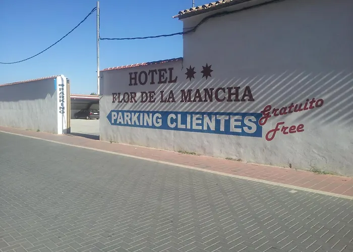 Hotel Flor De La Mancha