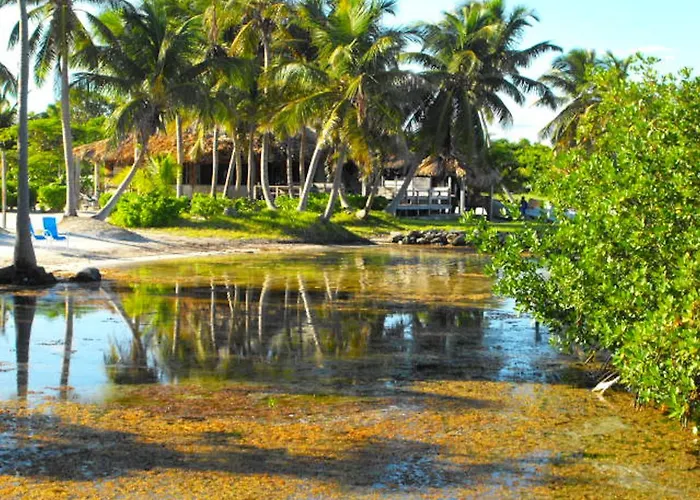 Costa De Cocos