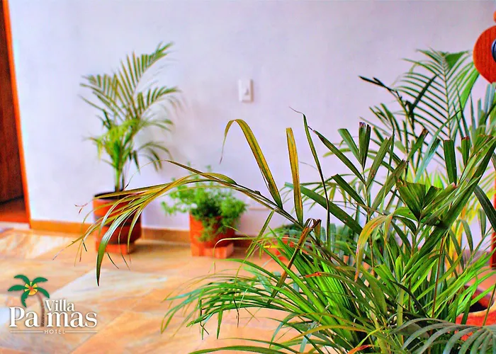 Hotel Villa Palmas