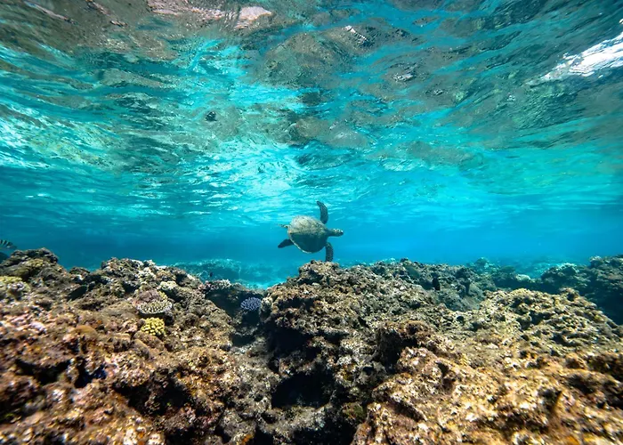 Intercontinental Lifou Wadra Bay Resort By Ihg