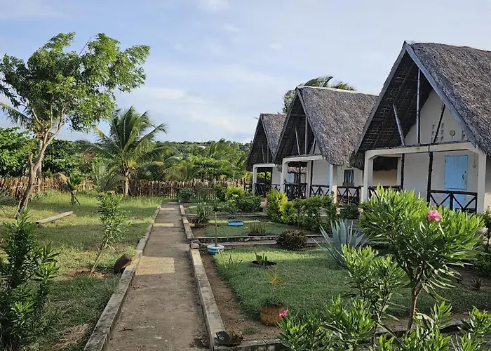 Sanjeela-Plage Coco