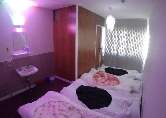 外国人女性用 Art Setouchi Triennale Hotel Female Only