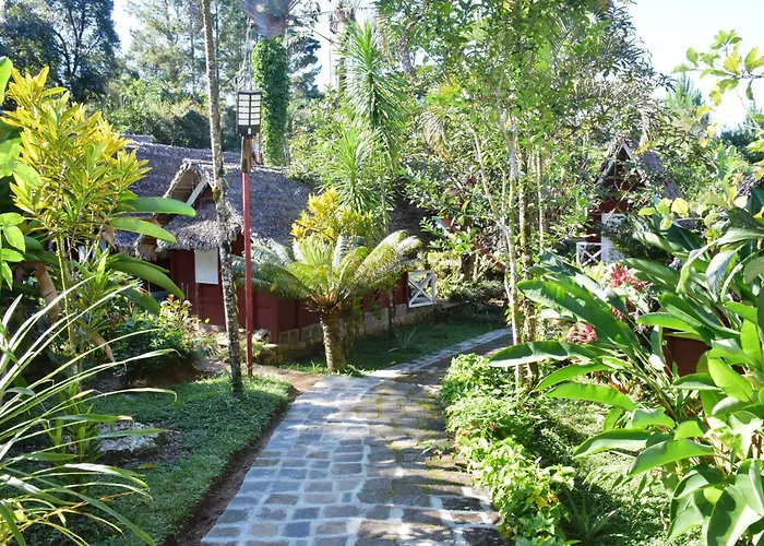 Forêt Austral