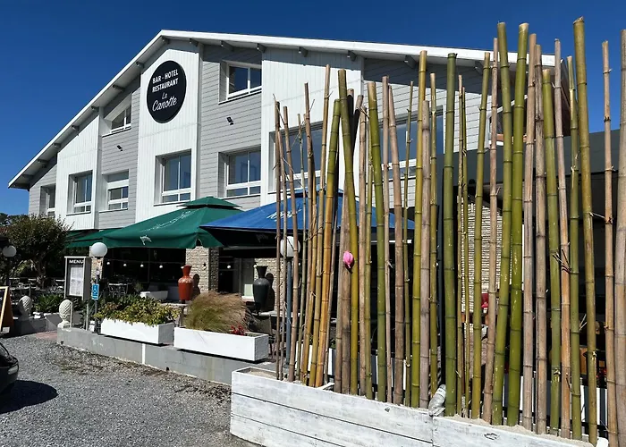La Canotte