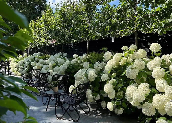 Poorter Boutique Hotel Brielle