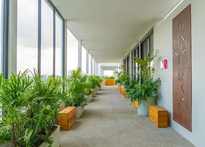 Hotel Mio Riviera Nayarit - Adults Only