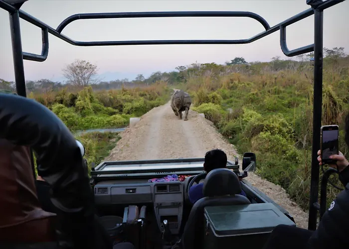 Hotel Flycatcher Chitwan- A Jungle Safari Home