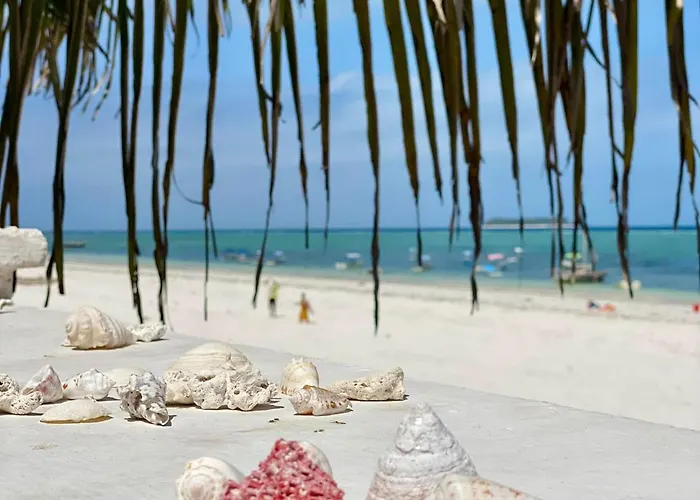 Mambo Paradise