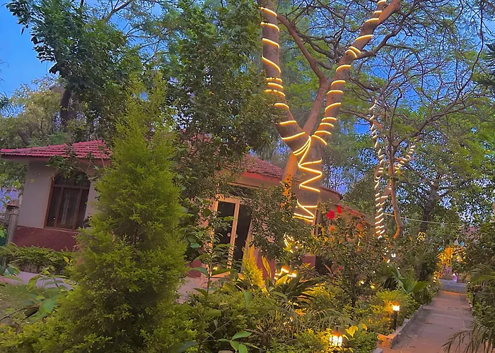 Tiger Heaven Resort