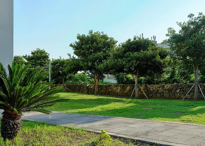 Shin Shin Hotel Jeju City