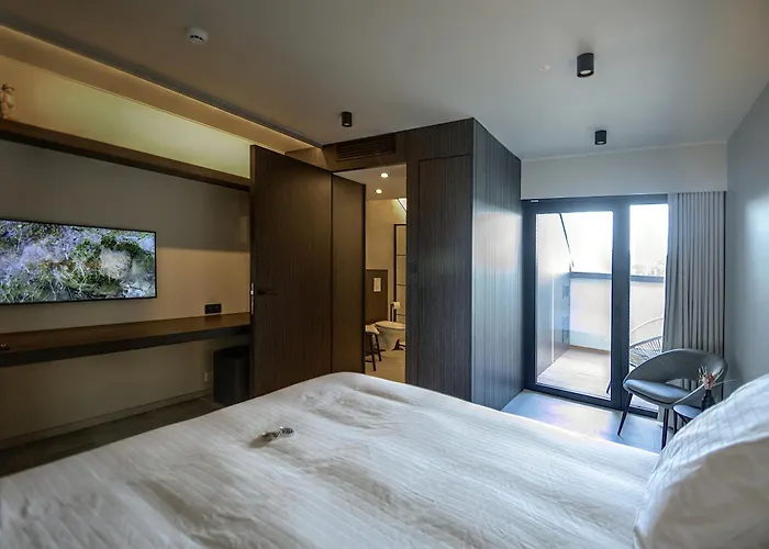 Hotel Hallensis