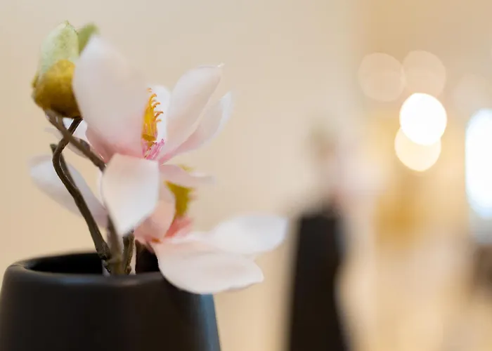 Hotel Ben Aouda & Spa