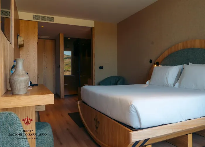 Barrilario Douro Wine Hotel E Spa - Quinta Sao Jose Do Barrilario