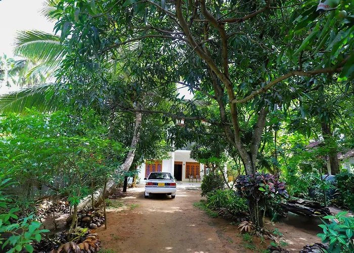 Lake Lower Hotel & Yala Safari
