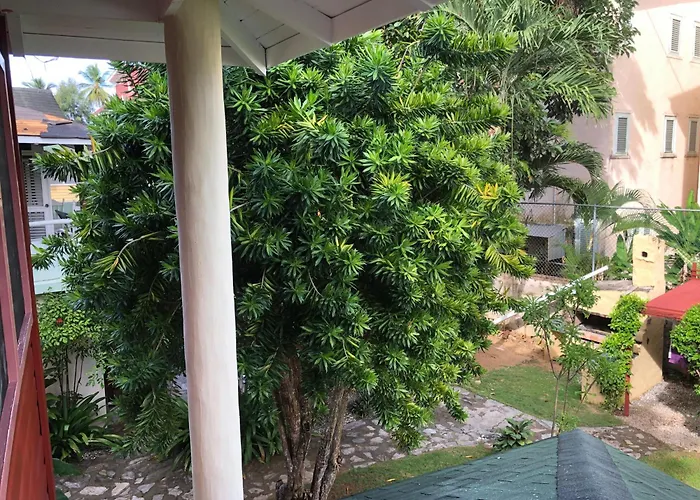 Hotel Casa Robinson