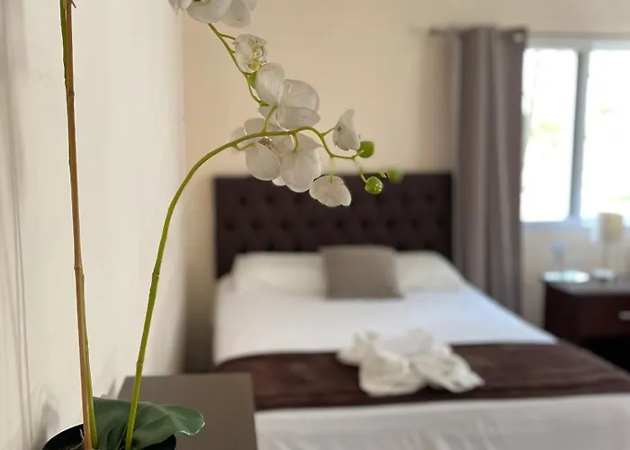 Hotel Boutique Los Pinos