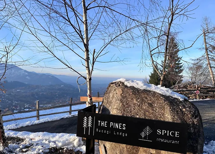 The Pines Bucegi Lodge