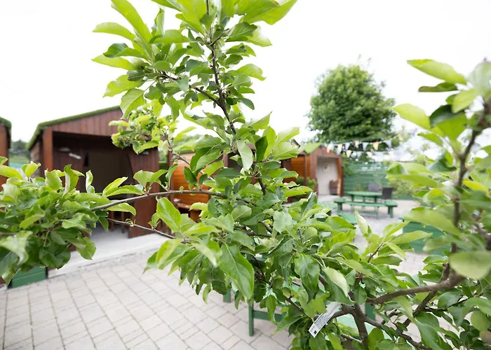 The Orchard House