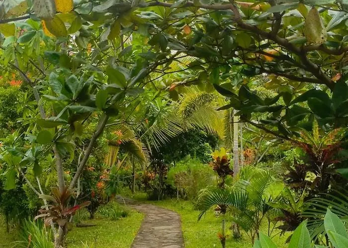 Bale Sebaya - Bungalows Cafe Nature