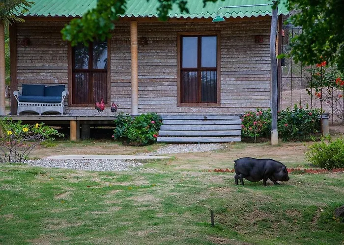 Posada Los Cocos Morrocoy