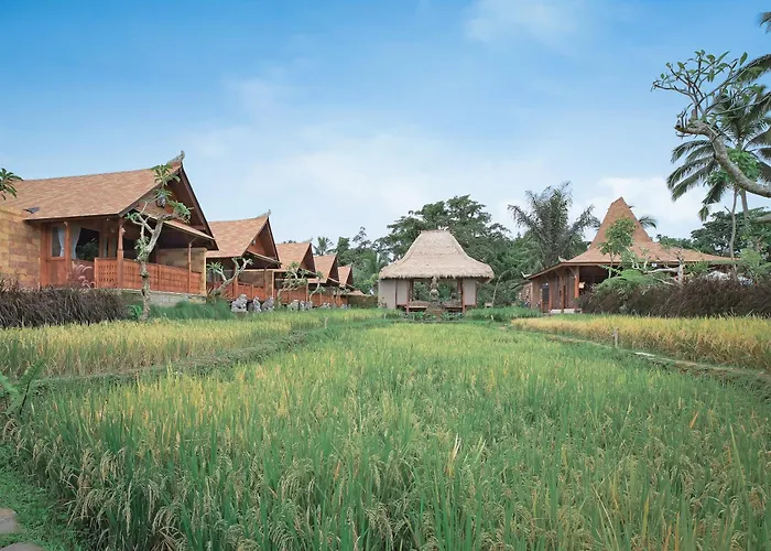 Lawani Resort