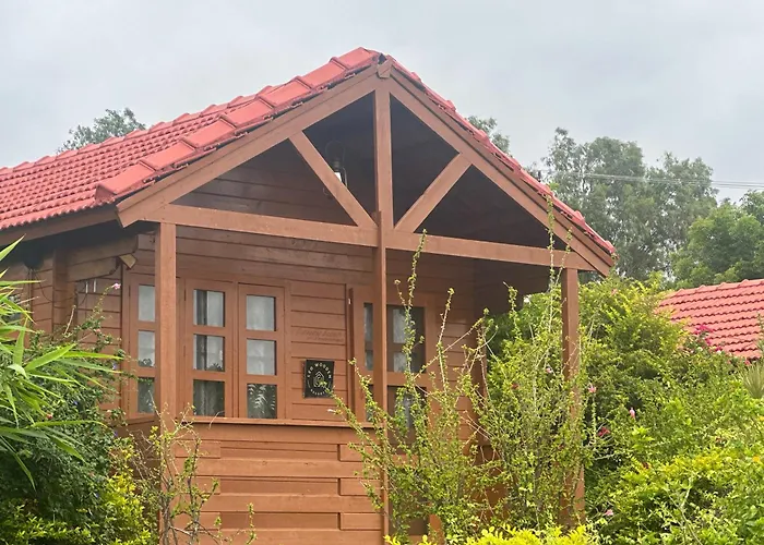 Leo Wooden Resorts