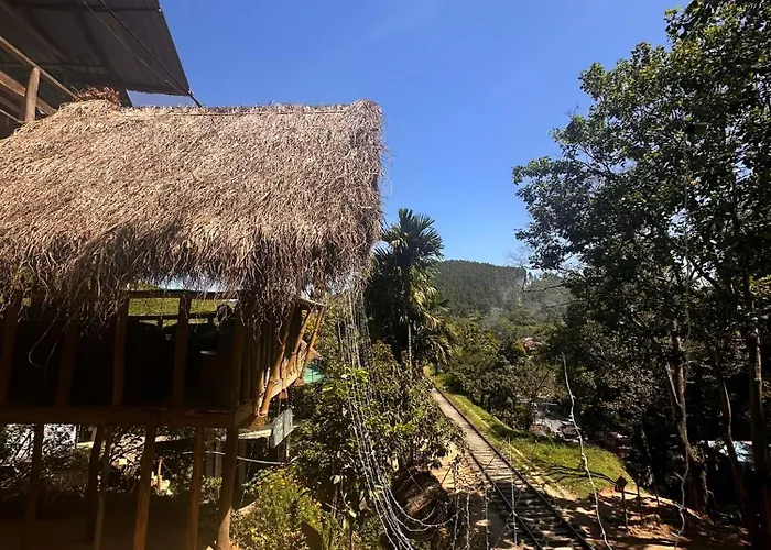 Hostal Tree House