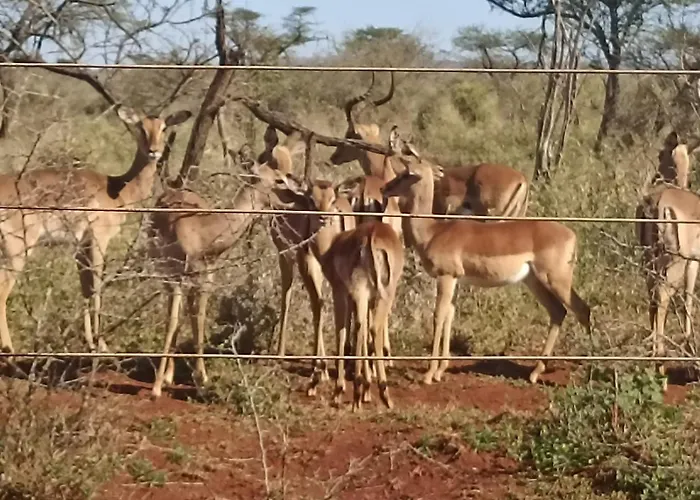 Umkhaya Lodge
