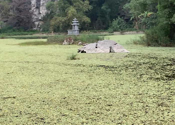 Tam Coc Lotus Flower Homestay
