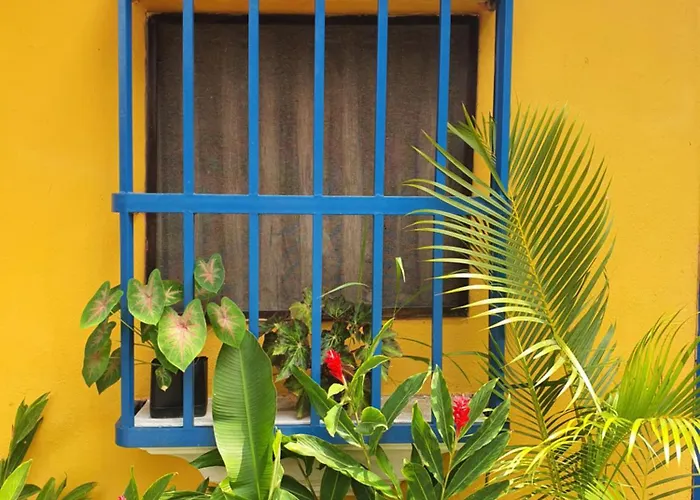 Hostal Nova Colonial