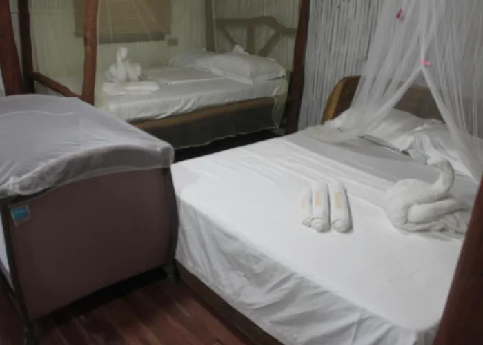 Dreamer Resort