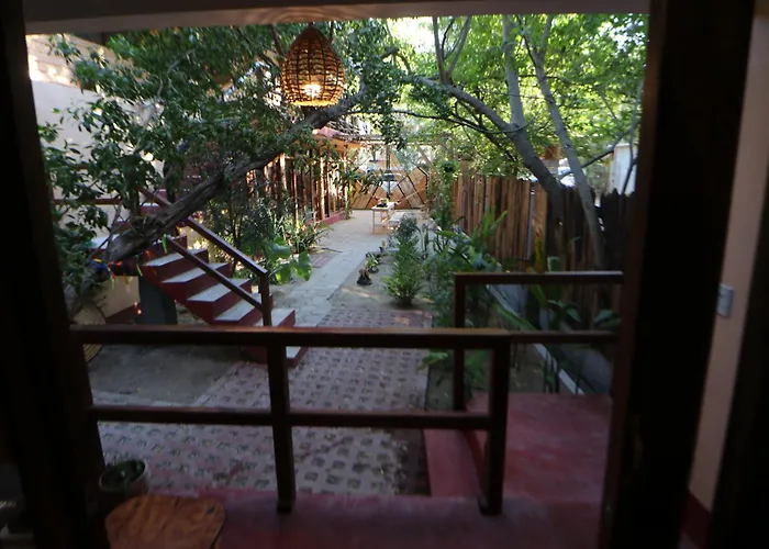 Casa AVA