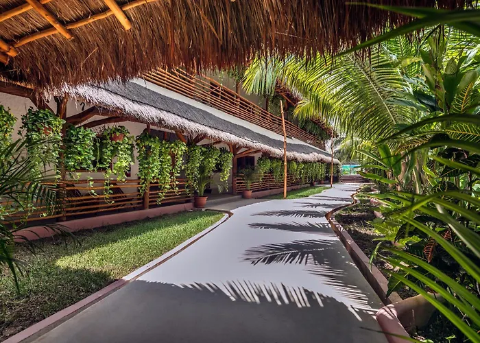 La Palma Holbox