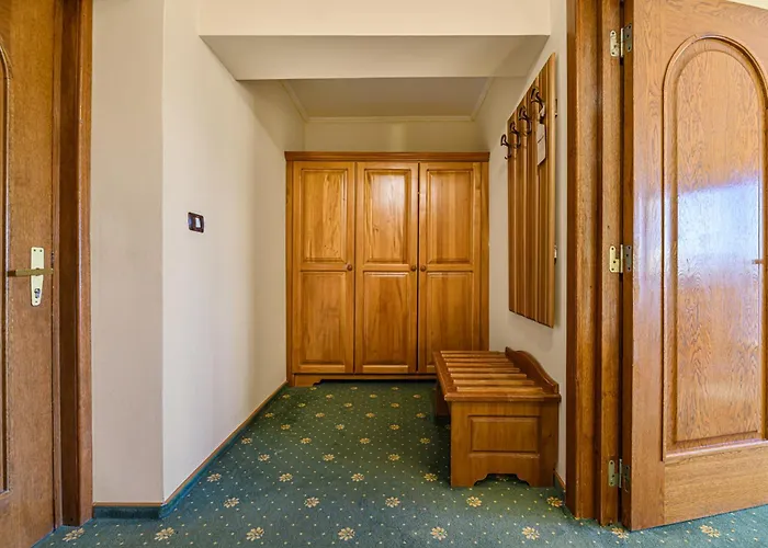 Hotel Casa Viorel jacuzzi&saunas