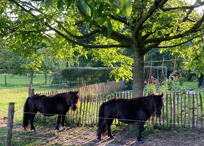 Het Spijkerhuys