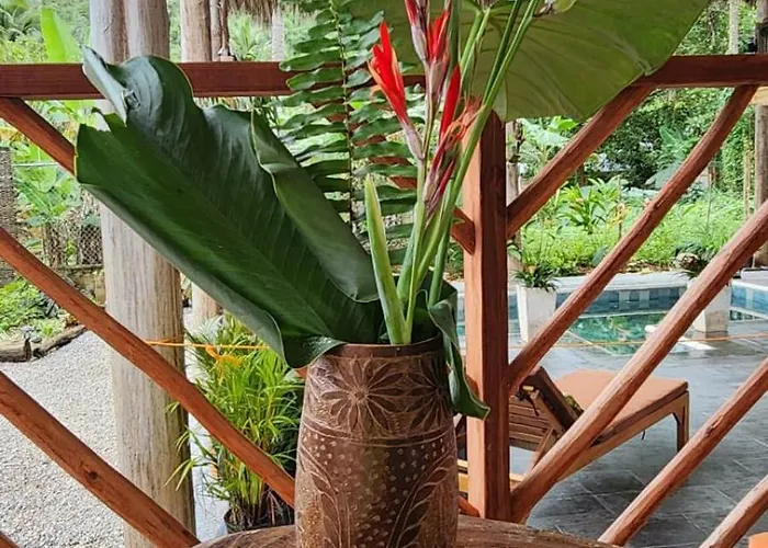 Boho villas&spa