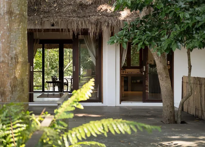 Big Tree Boutique Hotel