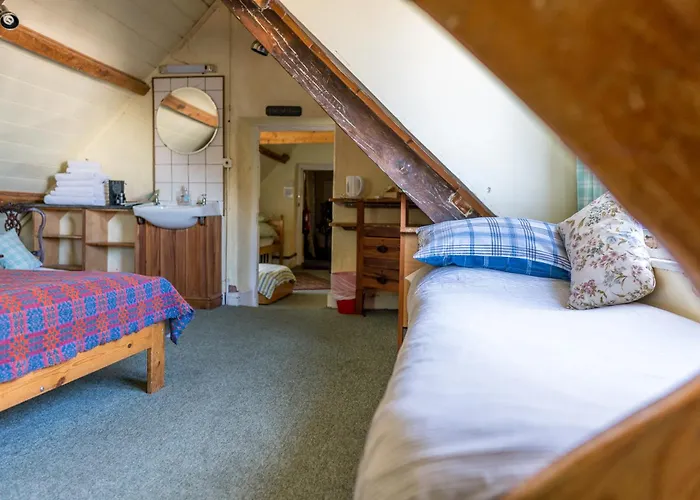 The Druidstone Hotel