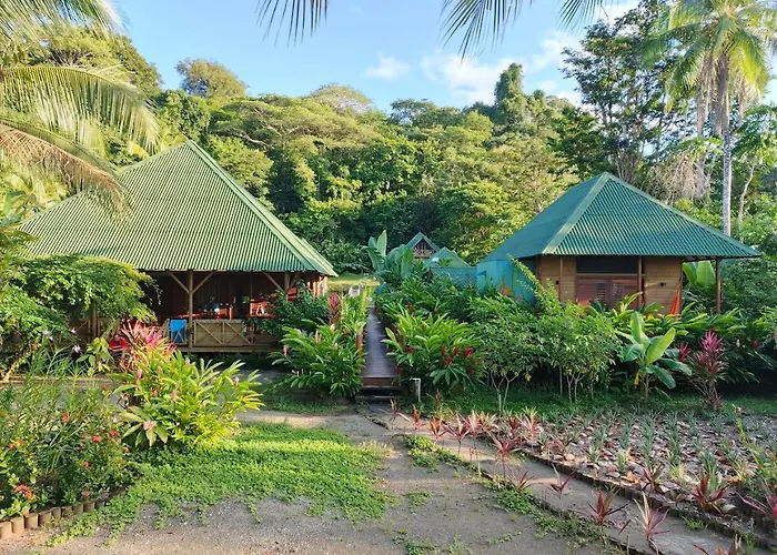 Jenené Lodge Nuquí