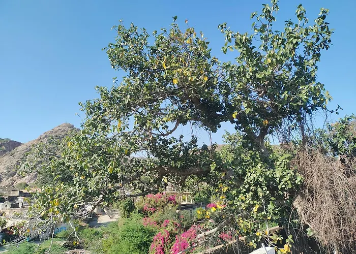 Aravalli Mount View Hotel And Restaurant