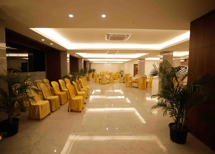 Hotel Tree Fern