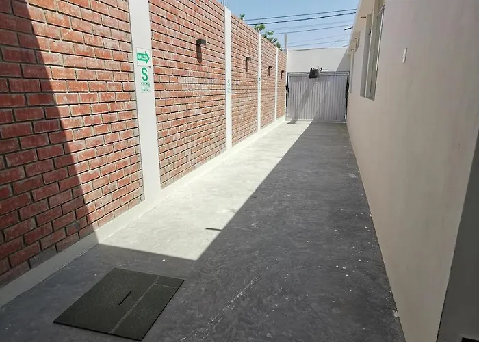 Palmera Verde