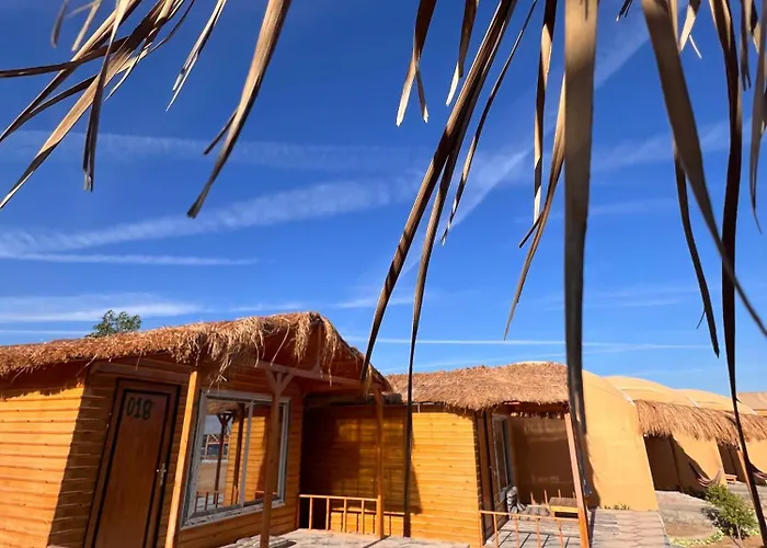 Full Moon Camp Sinai