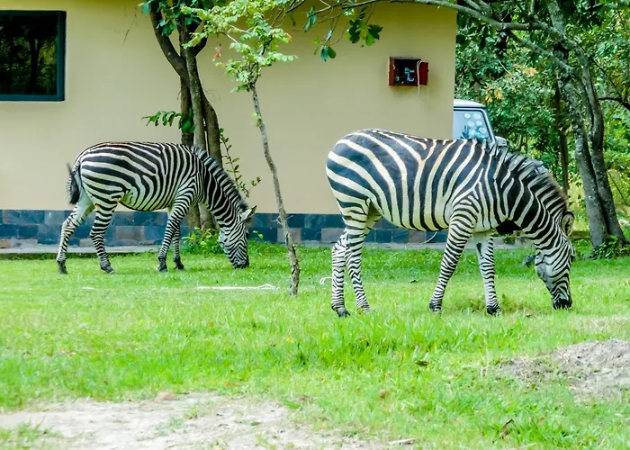Baluba Game Resort
