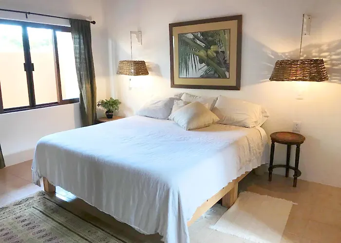 Casa Botanica