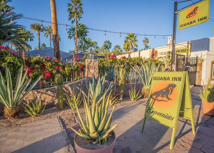 Iguana Inn
